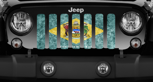 Delaware Grunge State Flag Grille Insert