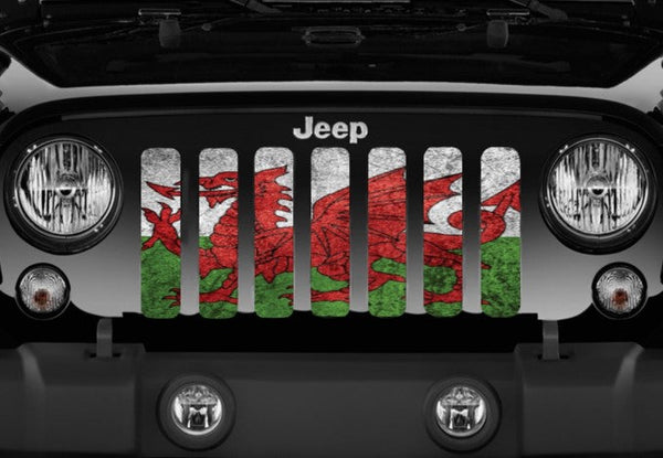 Rustic Welsh Dragon Flag Grille Insert