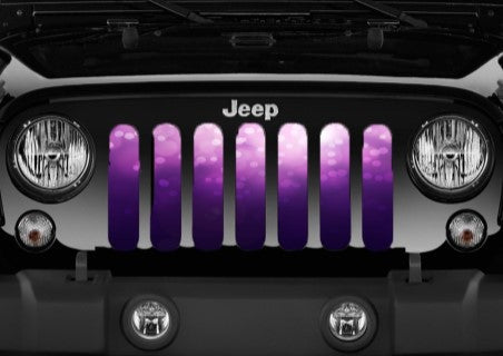Ladies Night Purple & Pink Ombre Grille Insert