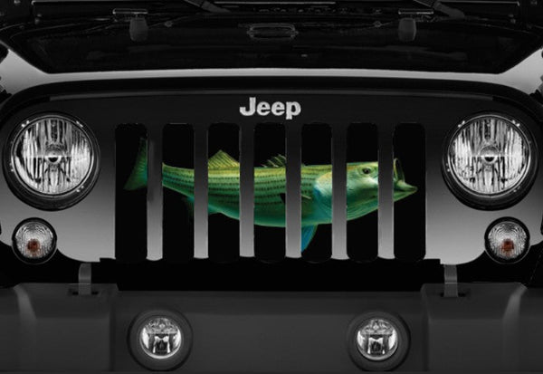 Striped Bass Grille Insert