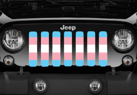 Transgender Flag Grille Insert