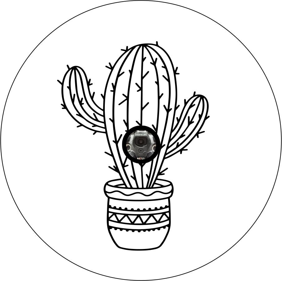 Cactus in a Pot