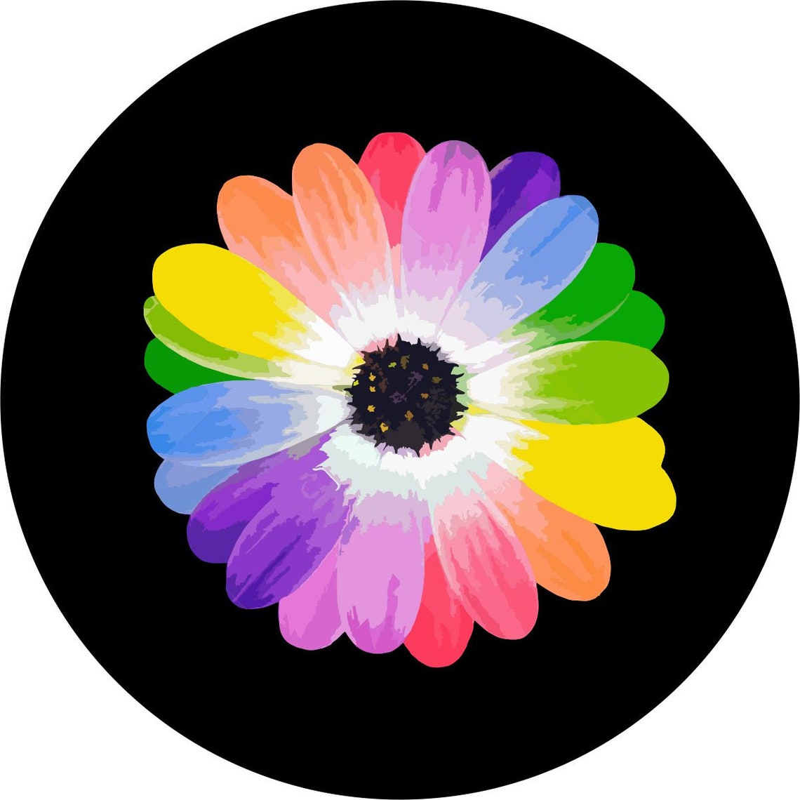 Rainbow Daisy Flower