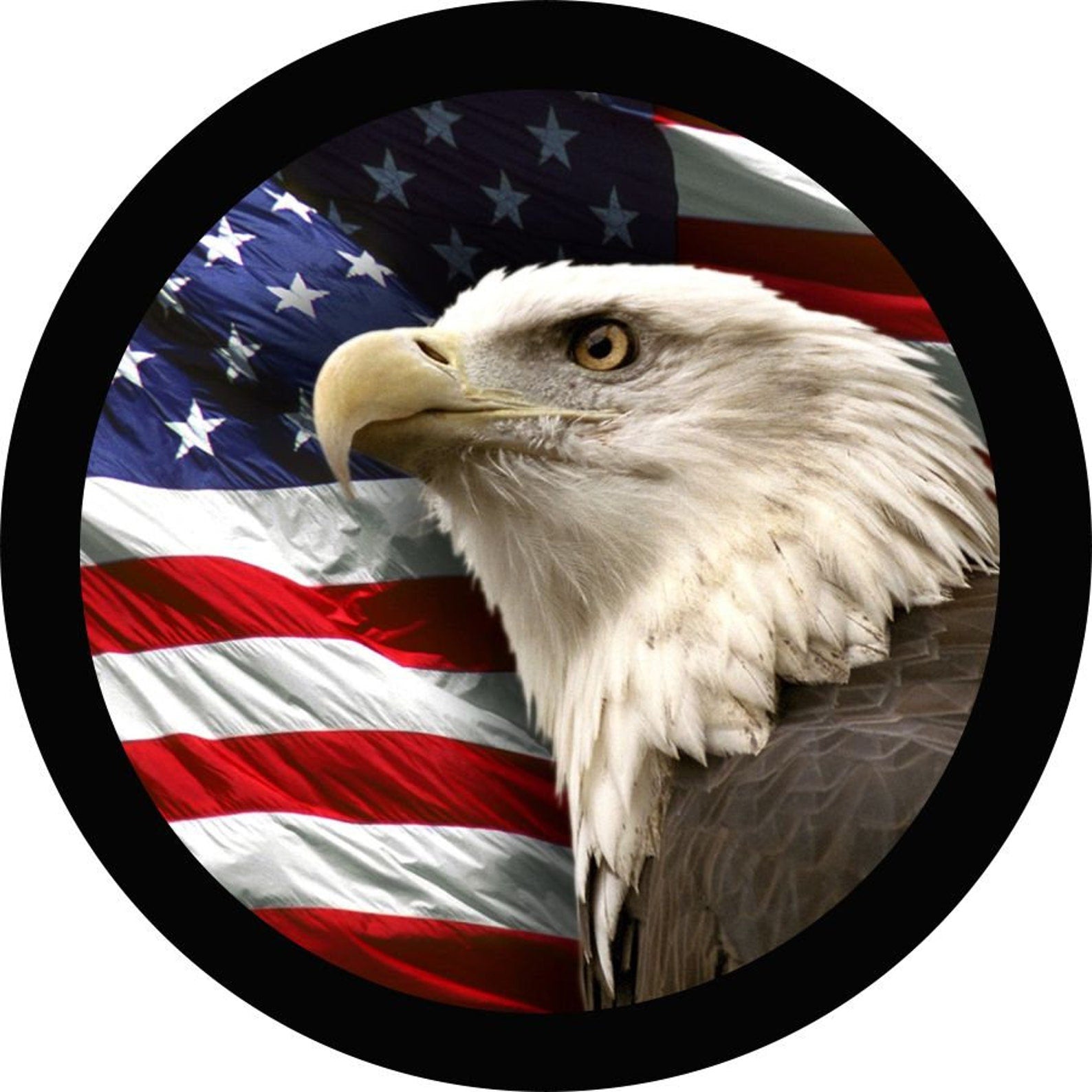 American eagle head with an American flag flying in the background on a spare tire cover