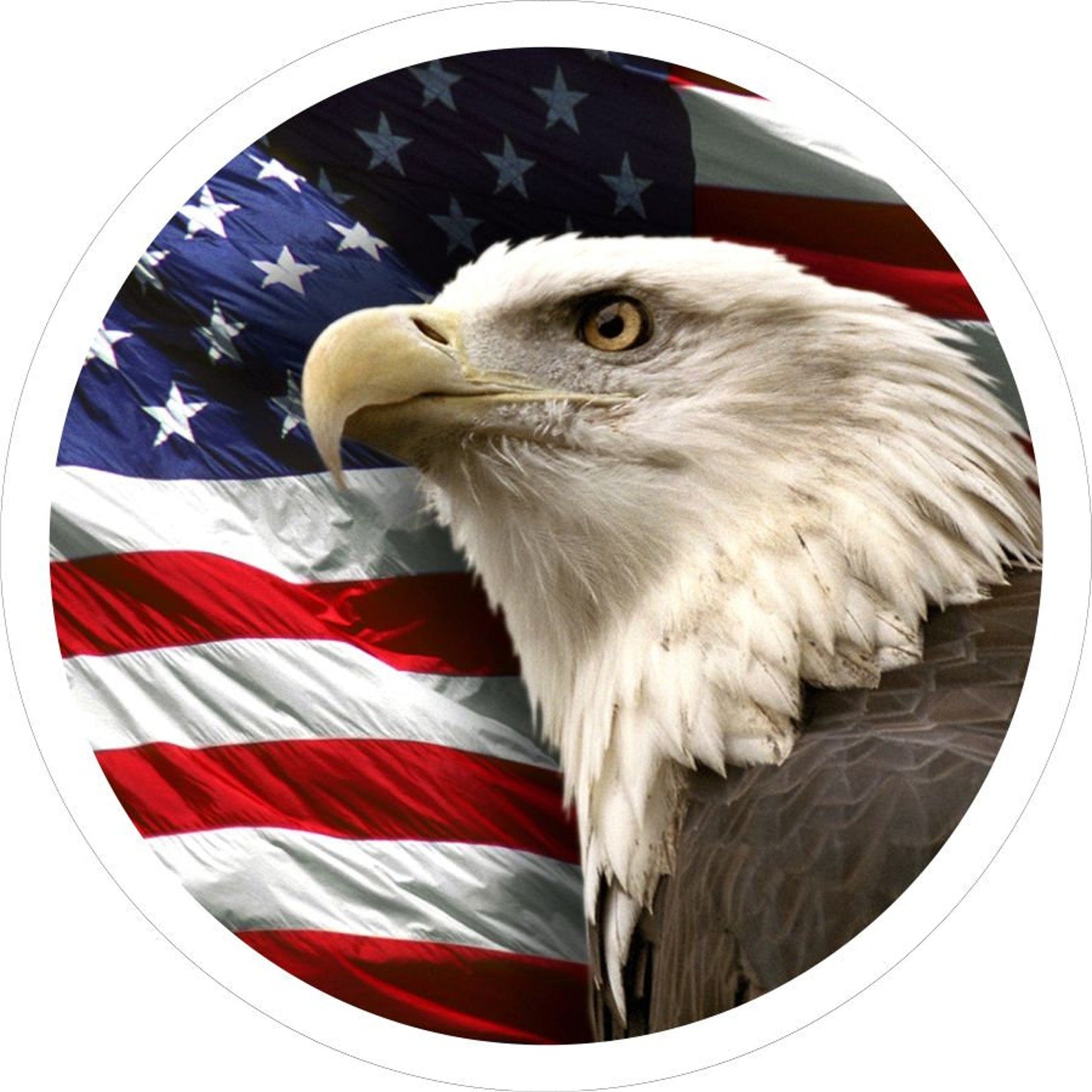American Flag With Bald Eagle